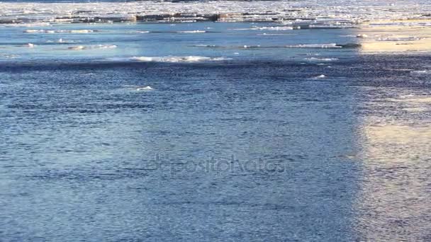 El témpano flota en el agua. 4K . — Vídeos de Stock