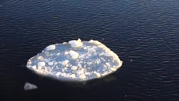 Лід пливе у воді. 4-кілометровий . — стокове відео