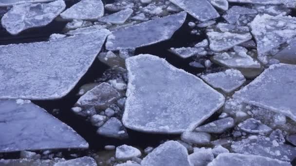 Yüzen buz kütlesi buz suda yüzer. 4k. — Stok video