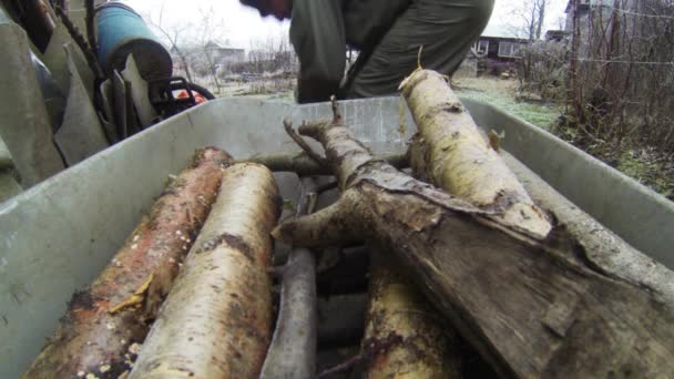 Brandhout in een kruiwagen. 4k. — Stockvideo