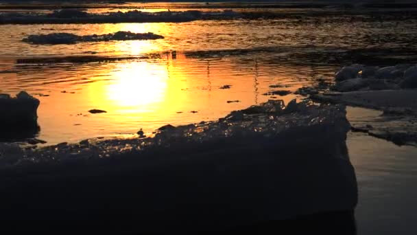 流氷は、水に浮かぶ。4 k. — ストック動画