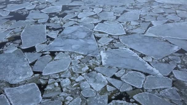 La glace flotte dans l'eau. 4K . — Video