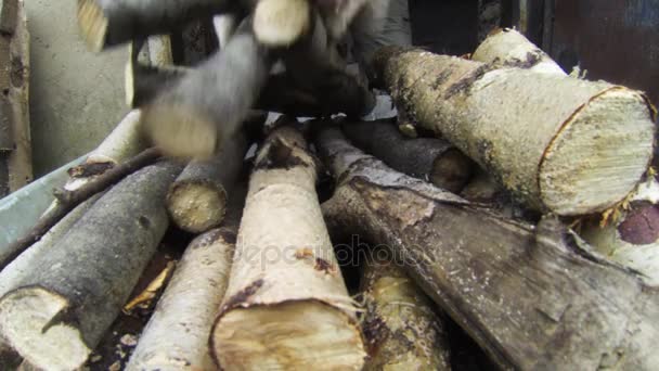 Tűzifa egy talicska. 4k. — Stock videók