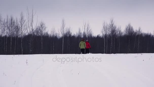 Flickan går i vinter fältet. 4k. — Stockvideo