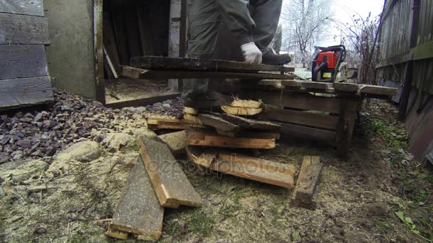 Man sawing wood chainsaw. 4K. — Stock Video