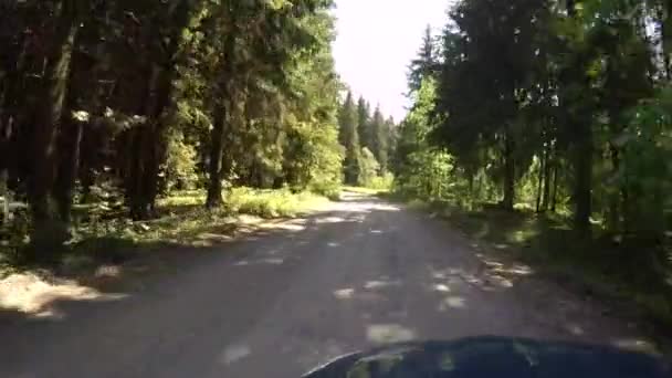 Voyagez en voiture dans la forêt d'été. 4K .