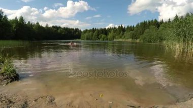 Bir adam gölde yüzüyor. 4k.