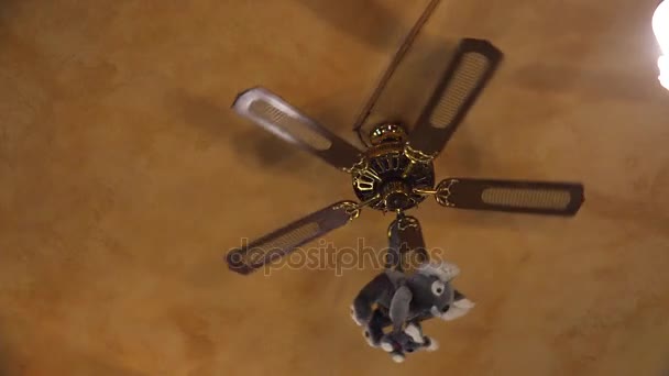 Toy on the ceiling fan. 4K. — Stock Video