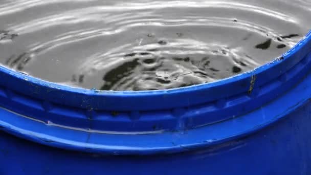 桶用水。雨滴。4 k. — 图库视频影像