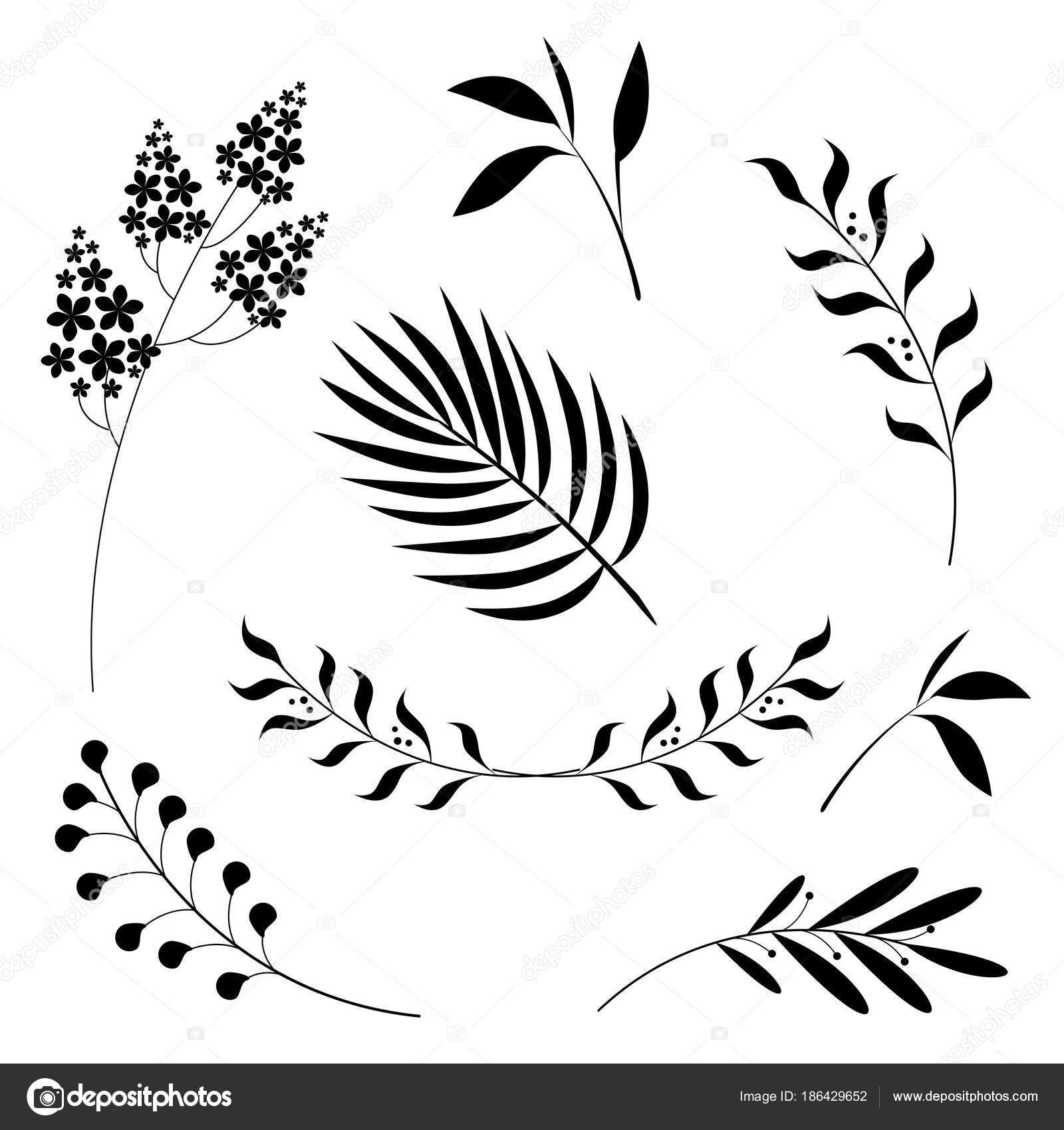 Goede Set van grafische tekeningen van bloemen en bladeren op w KG-35