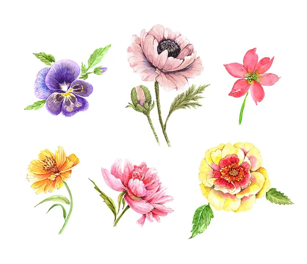 수채화 물감으로 꽃다발을 덮는다 배경에 색깔의 — 스톡 사진