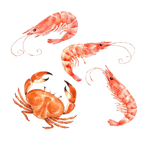 Gekochte Garnelen Und Krabben Aquarell Illustration Auf Weißem Hintergrund Set — Stockfoto