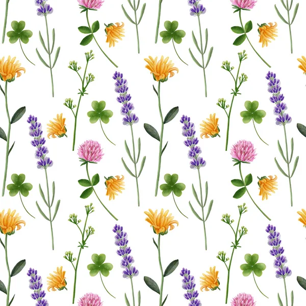 Motivo Con Fiori Prato Sfondo Bianco Fiori Multicolori Lavanda Margherita — Foto Stock