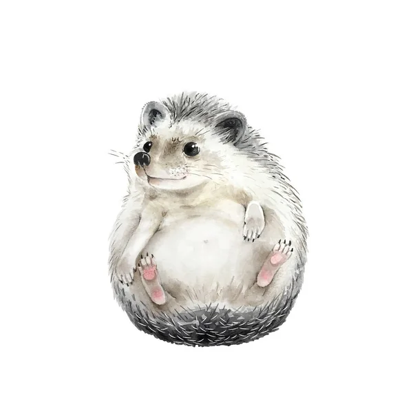 Hedgehog Cute Animal White Background Watercolor Illustration — Stock Photo, Image