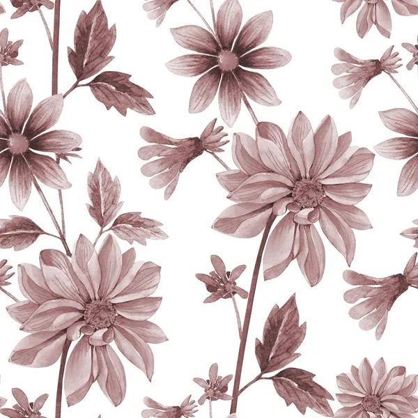 白色背景上美丽的无缝水彩花图案 单色植物背景 — 图库照片