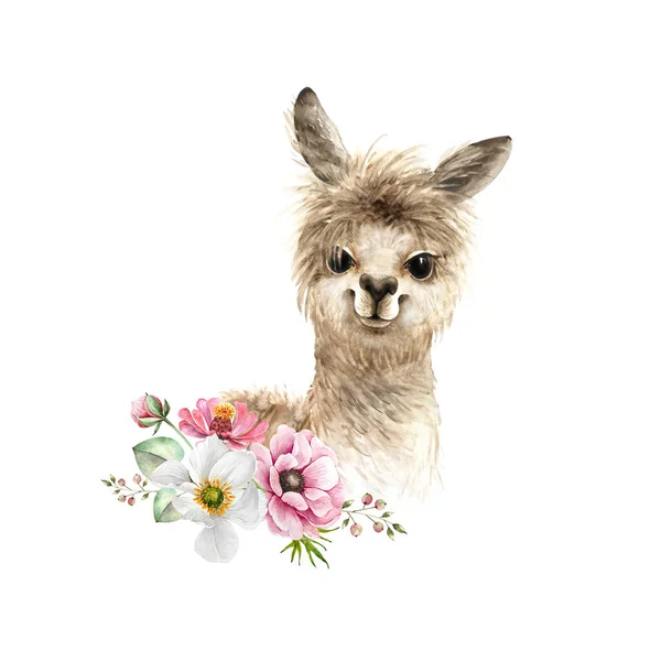 Alpaka Niedliches Tier Mit Einem Strauß Rosa Blumen Aquarell Illustration — Stockfoto