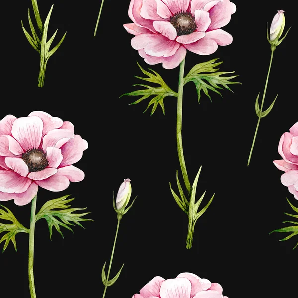 Vzor Růžovými Květy Černém Pozadí Růžové Sasanky Akvarel Ilustrace — Stock fotografie
