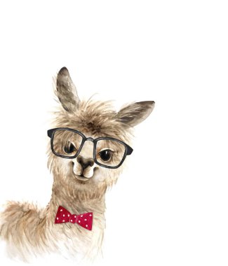 alpaca cute animal in black glasses and a red bow tie, watercolor illustration on white background clipart