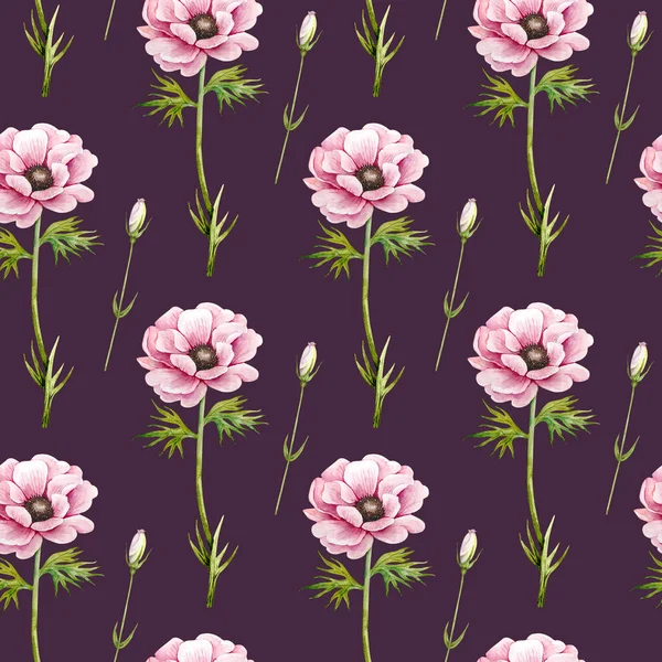 Wzór Różowymi Kwiatami Nodze Fioletowym Tle Różowy Anemony Akwarela Ilustracja — Zdjęcie stockowe