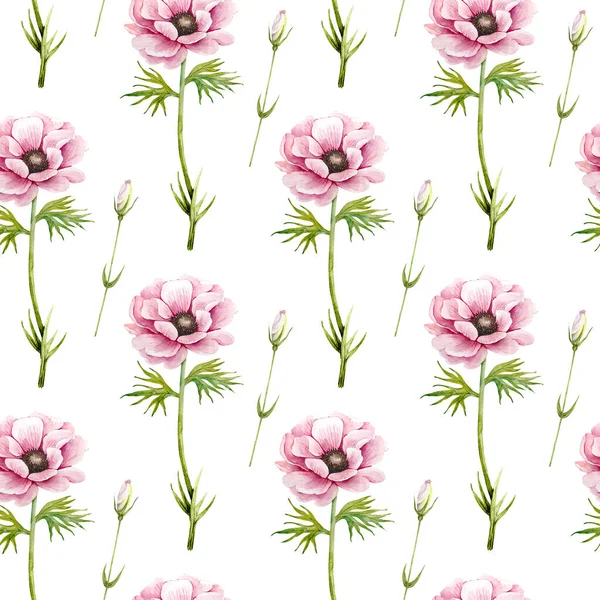 Mönster Med Delikata Rosa Blommor Anemoner Vit Bakgrund Akvarell Illustration — Stockfoto