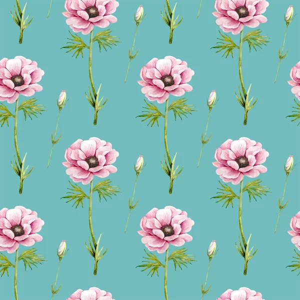 Mönster Med Delikata Rosa Blommor Anemoner Blå Bakgrund Akvarell Illustration — Stockfoto