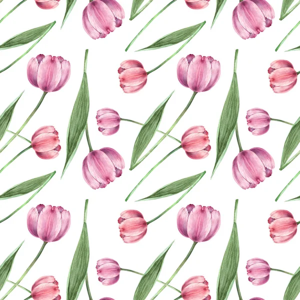 pattern with pink tulips flowers on a white background
