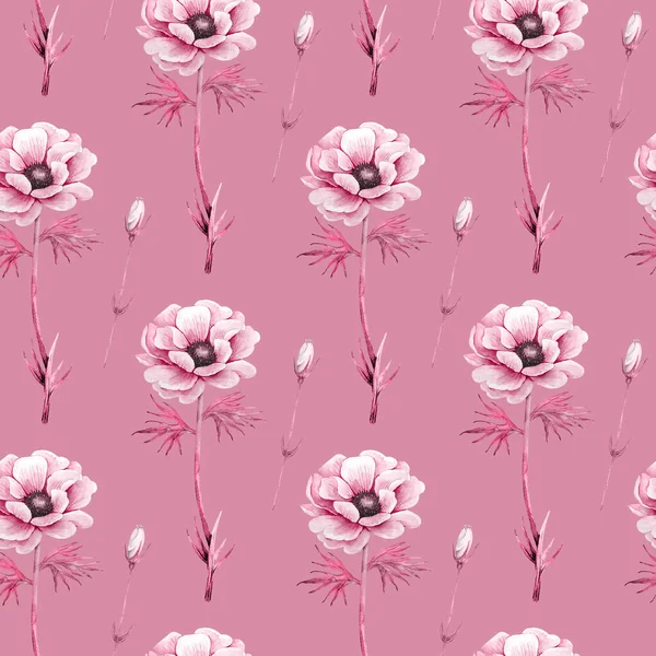 Modello Con Fiori Anemone Sfondo Rosa Fiori Acquerello Illustrazione — Foto Stock