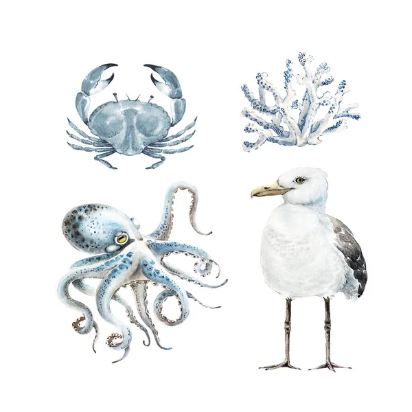 Set Watercolor Illustrations Marine Style Seagull Octopus Crab White Background — Stock Photo, Image