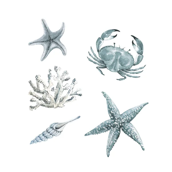 Set Watercolor Illustrations Sea Inhabitants Crab Starfish Coral White Background — Stock Photo, Image