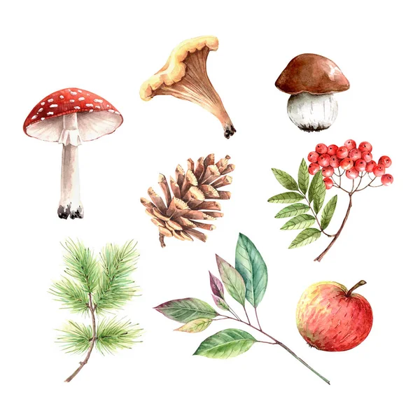 Conjunto Ilustrações Aquarela Presentes Natureza Cogumelos Bagas Plantas Fundo Branco — Fotografia de Stock