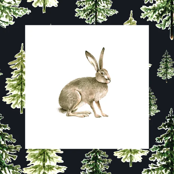 Brun Vild Hare Mörk Ram Med Gröna Julgranar Akvarell Illustration — Stockfoto