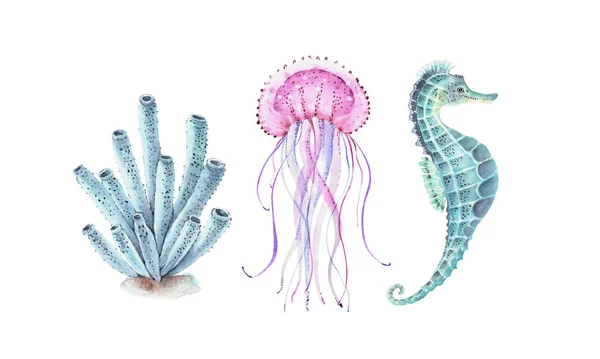 Jeu Illustrations Aquarelles Habitants Mer Hippocampe Méduses Corail — Photo