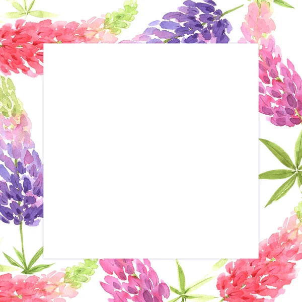 Frame Van Blauwe Roze Lupine Bloemen Aquarel Close Illustratie — Stockfoto