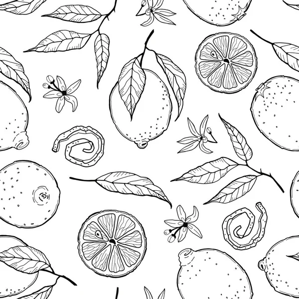 Απρόσκοπτη Απεικόνιση Φρούτα Λεμόνια Για Χρωματισμό Σχέδιο Για Χαλάρωση Και — Φωτογραφία Αρχείου