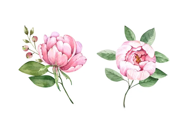 Набор Букетов Розовыми Цветами Акварель Белом Фоне — стоковое фото