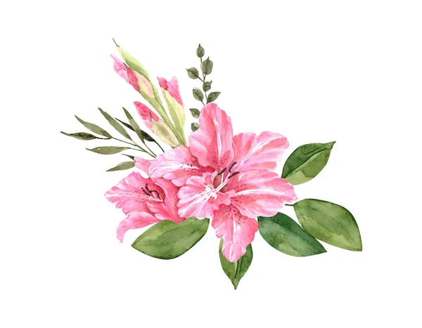 Букет Розовыми Цветами Гладиоли Акварель Иллюстрация — стоковое фото