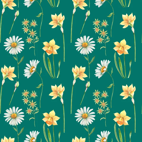 Delicado Patrón Con Flores Pradera Primavera Sobre Fondo Verde Ilustración —  Fotos de Stock