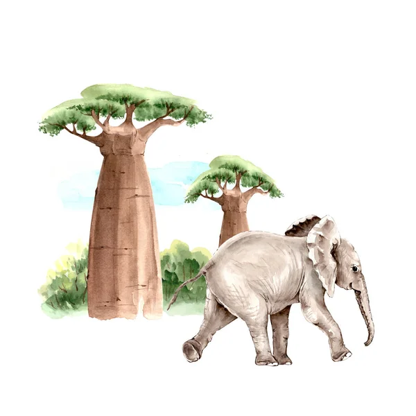 Ilustração Aquarela Elefante Cinza Fundo Árvore Baobá Natureza África — Fotografia de Stock