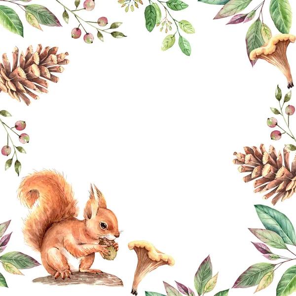 Orangefarbenes Eichhörnchen in einem Rahmen aus Pflanzen, Aquarell-Illustration — Stockfoto