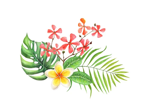 Bouquet Tropical Leaves Flowers White Background Watercolor Closeup Illustration — Stock Photo, Image