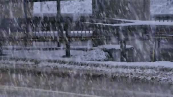 Circulation routière en hiver — Video