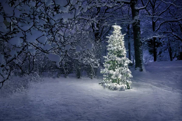 Kerstboom schijnt in de sneeuw — Stockfoto