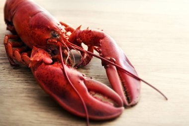 ahşap üzerine kırmızı ıstakoz