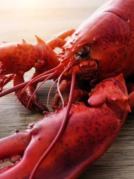 Red lobster on wood — Stock Photo, Image