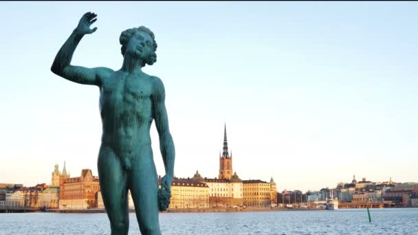 Old statue on river shore — Stock Video