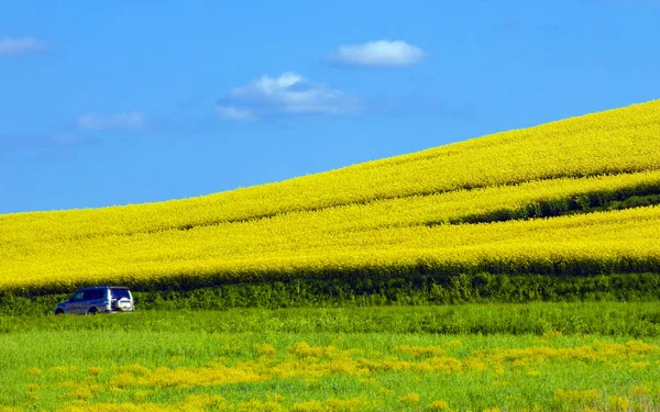 Auto rijden door veld — Stockfoto