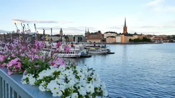 Tráfico de barcos en Estocolmo — Vídeo de stock