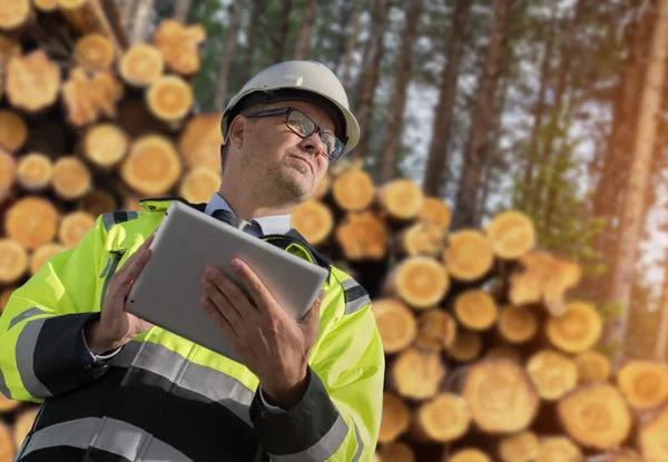 Skogs arbetare med digital tablett — Stockfoto