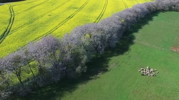 Vista aérea do sul da Suécia — Vídeo de Stock