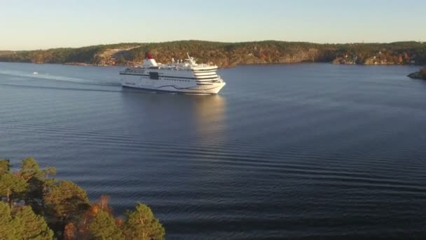 Stort Passagerareeyeliner Seglar Passerar Solig Sommardag Hösten Färgade Shores Bakgrund — Stockvideo